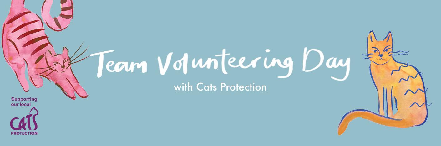 Team Volunteering Day With Cats Protection