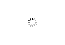 Products Widget Loading