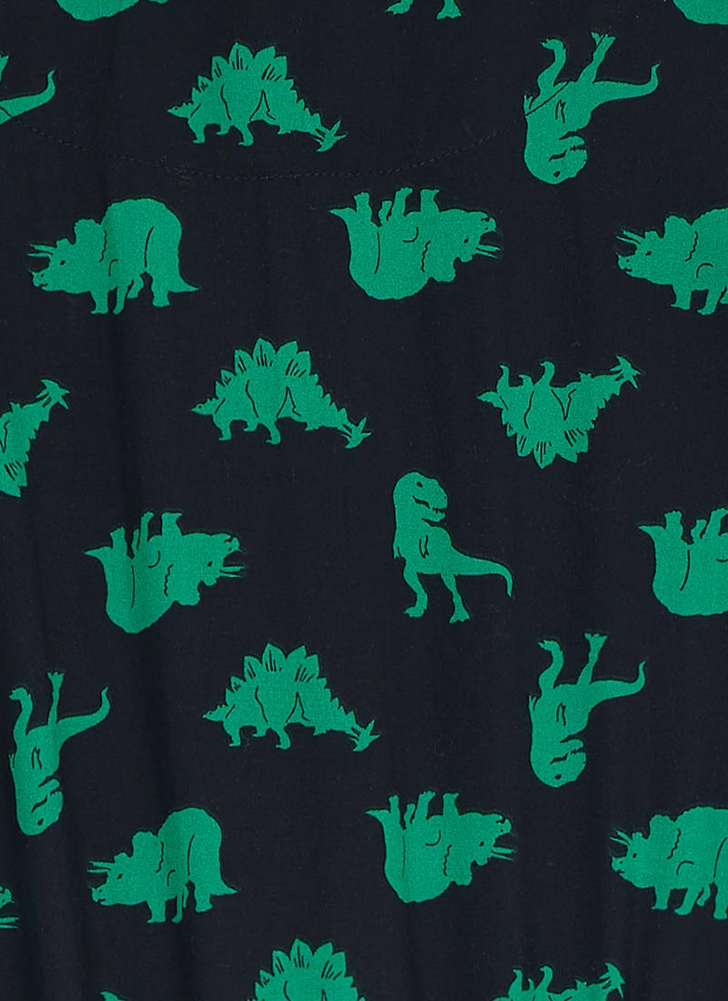 Andi Dinosaur Print Shirt Dress 