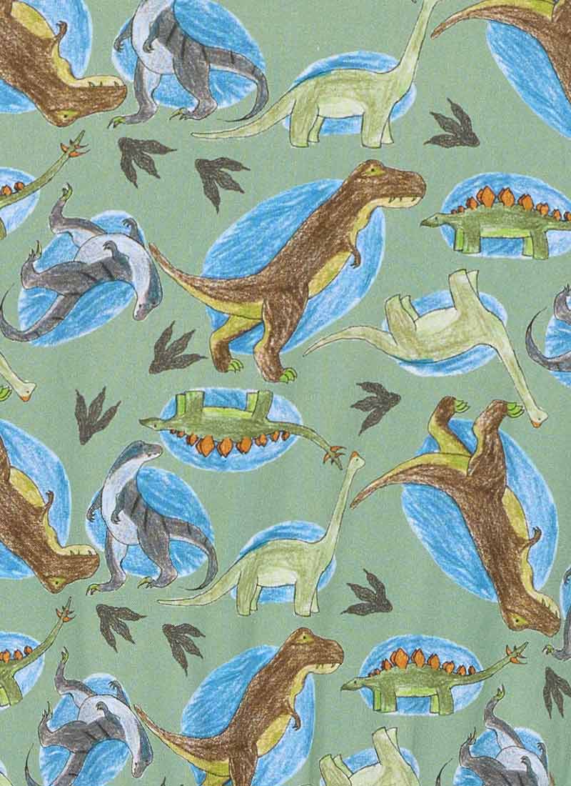 Andi Illustrated Dinosaur Print Shirt Dress