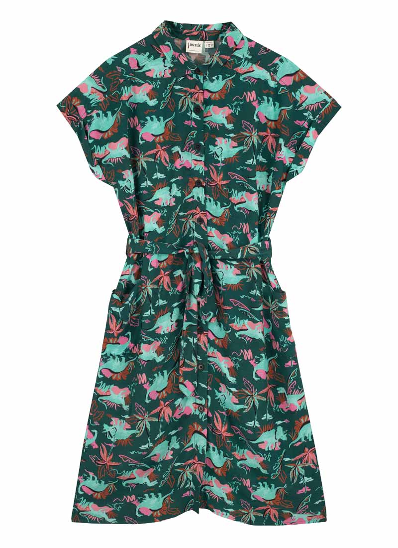 Meronti Dinosaur Print Collared Shirt Dress | Vintage-Inspired Button-Down  Dress | Joanie