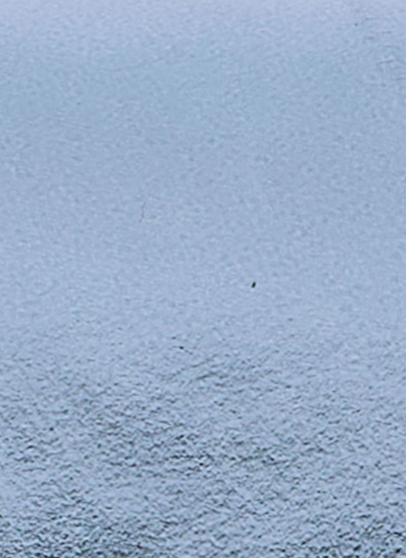 Montpellier Metallic Leather Platform Sandals - Blue