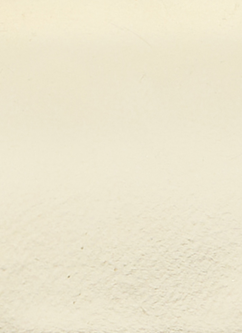 Lille Metallic Leather T-Bar Dolly Shoes - Gold