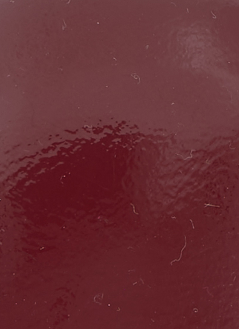 Rouen Patent Leather Mary Jane Shoes - Burgundy