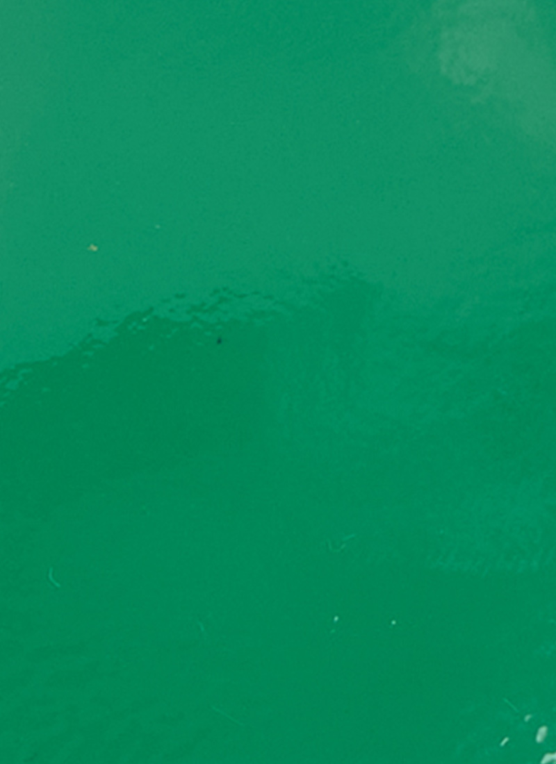 Rouen Patent Leather Mary Jane Shoes - Green 