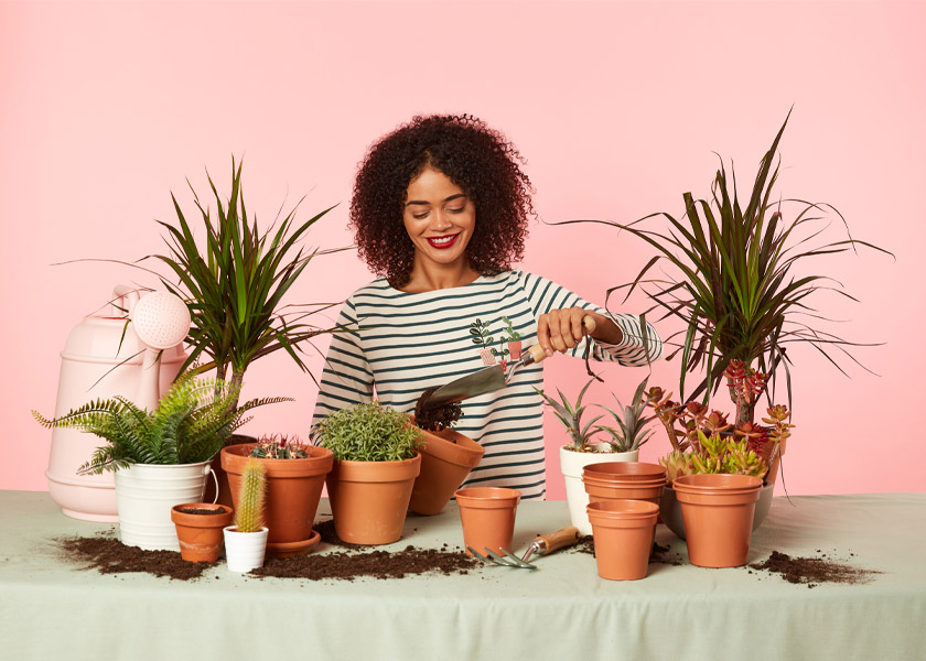 How to Care for Succulents & Cacti