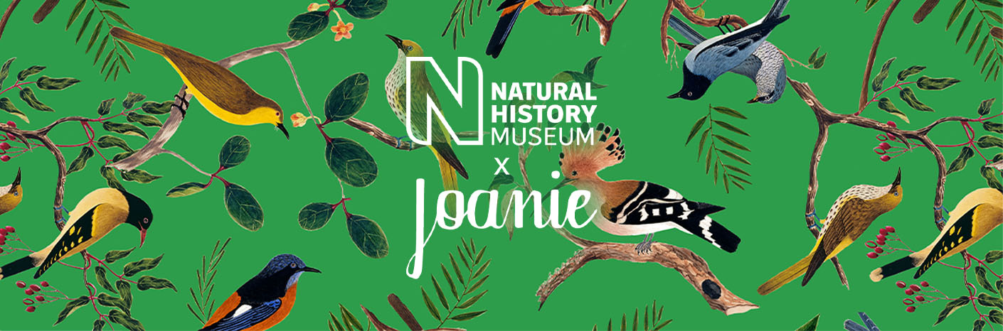 Natural History Museum X Joanie: Designing The Second Collection